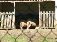 Vinhais-7,8-03-14 (96)